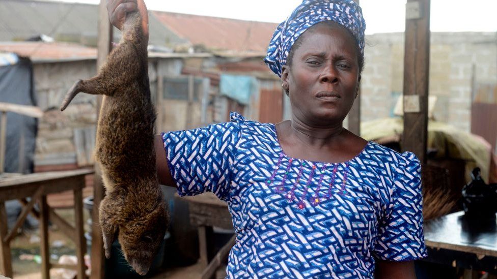 Monkeypox: Nigeria bans bushmeat to prevent virus spread