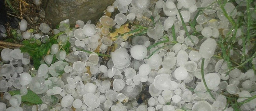 Hailstorm damages crops in Dang