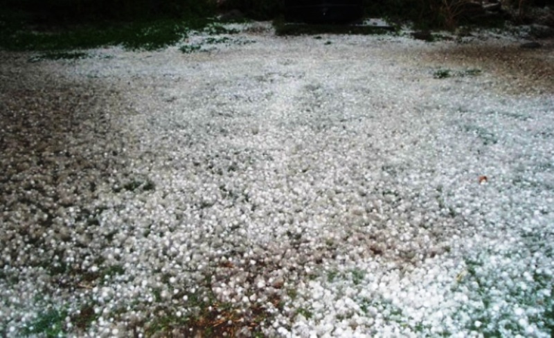 Rainfall with hailstorm destroy ready-to-harvest crops