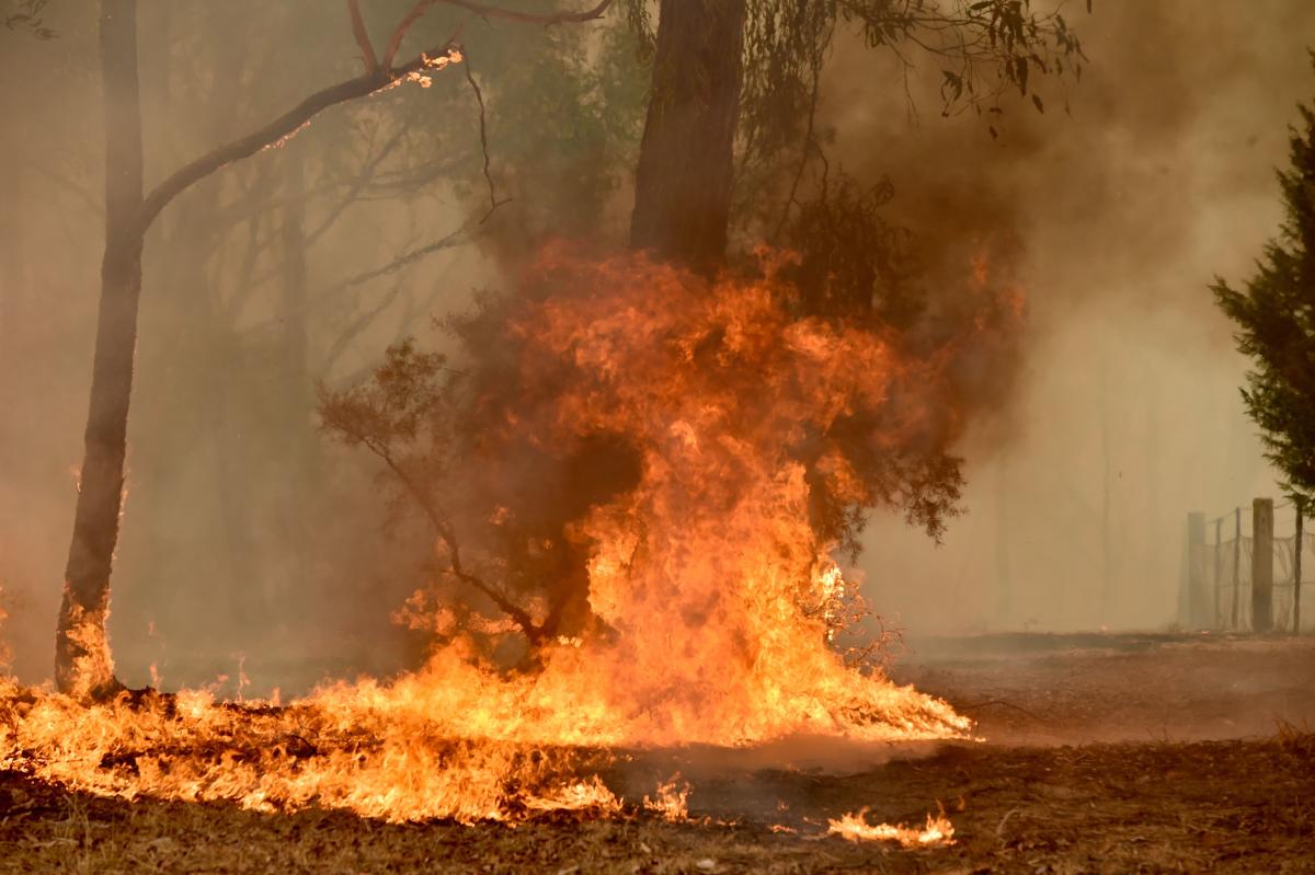 State of emergency as bushfires rage in Australia