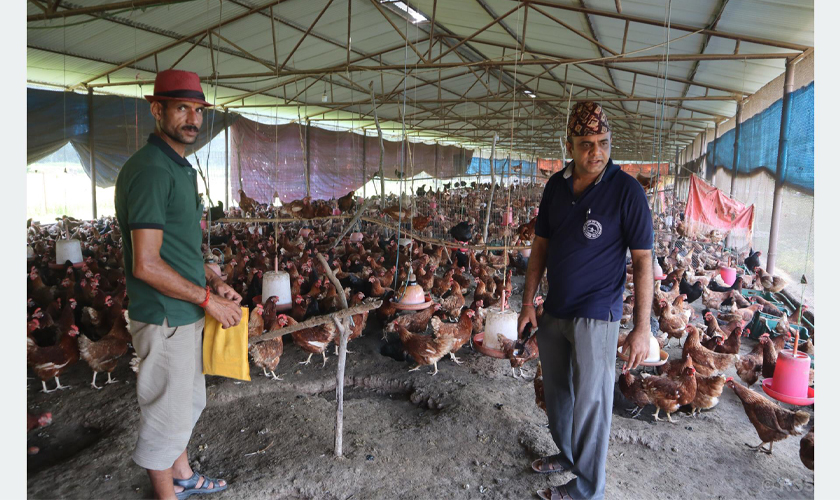 विश्वविद्यालयका प्राध्यापकको कृषि मोह