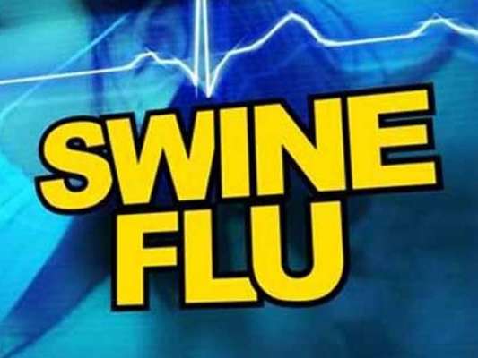 Over 370 people feared to have died of swine flu in India