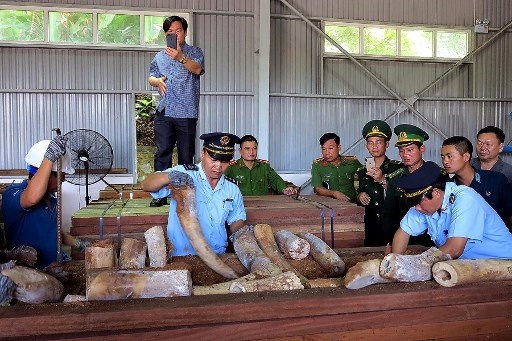 Vietnam seizes 9 tonnes of suspected ivory from Congo