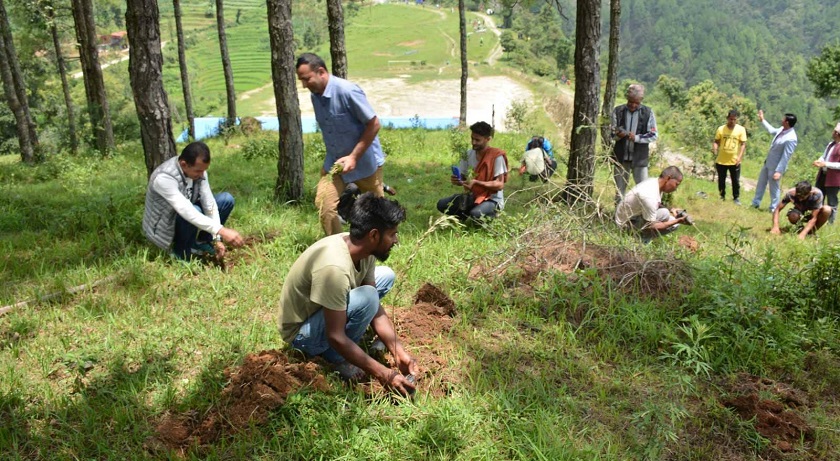 बनेपामा वृक्षारोपण गरियो