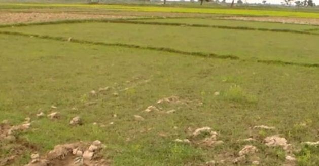 जहाँ हुन्छ वर्षको एक बाली मात्र उत्पादन