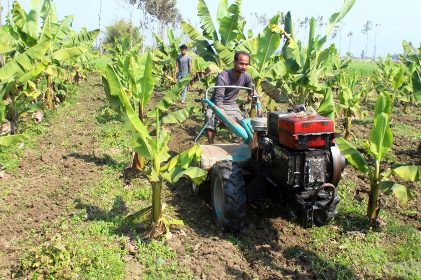 केराखेतीबाट मनग्य आम्दानी गर्दै किसान