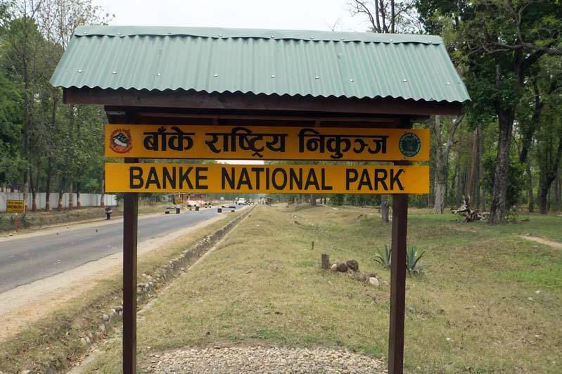 Feature-Tourists' arrival dismal at Banke National Park