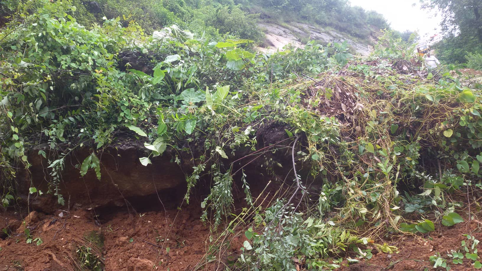 Landslide buries houses; two go missing