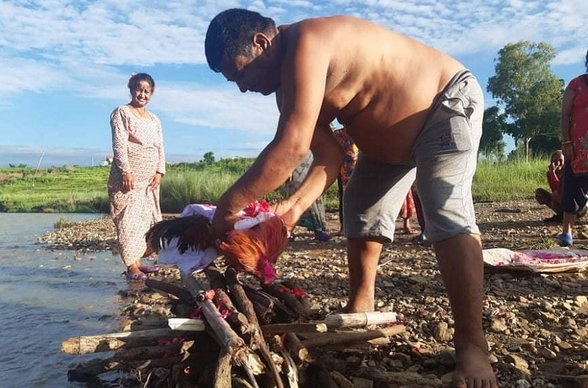 २० वर्ष पालेको भाले मरेपछि दाहसंस्कारसहित काजक्रिया, मालिकले कपाल फालेर नुन छोडे