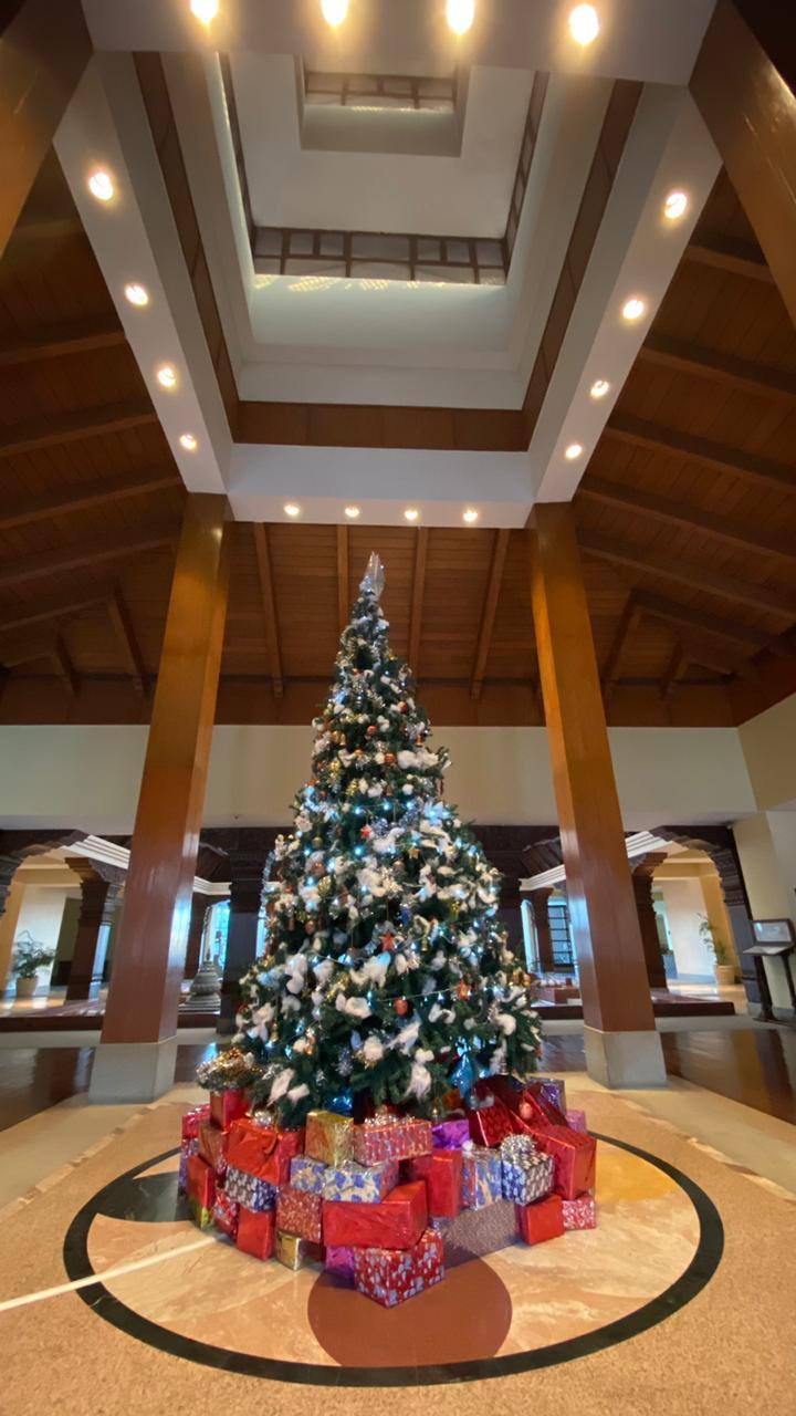 परम्परालाई निरन्तरता दिँदै होटल हायात रिजेन्सीले सजायो ‘क्रिसमस ट्री’