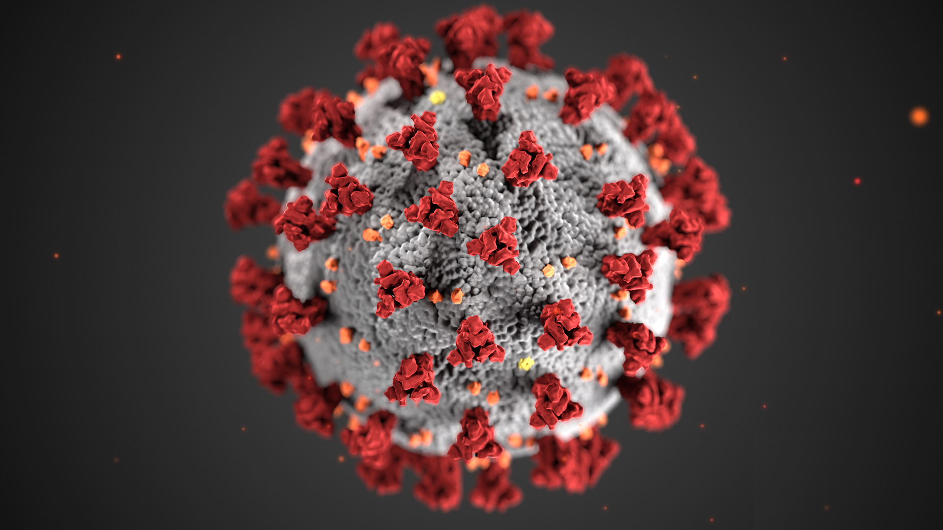 Newborn, relatives of a woman who died of COVID-19 tested negative for the virus