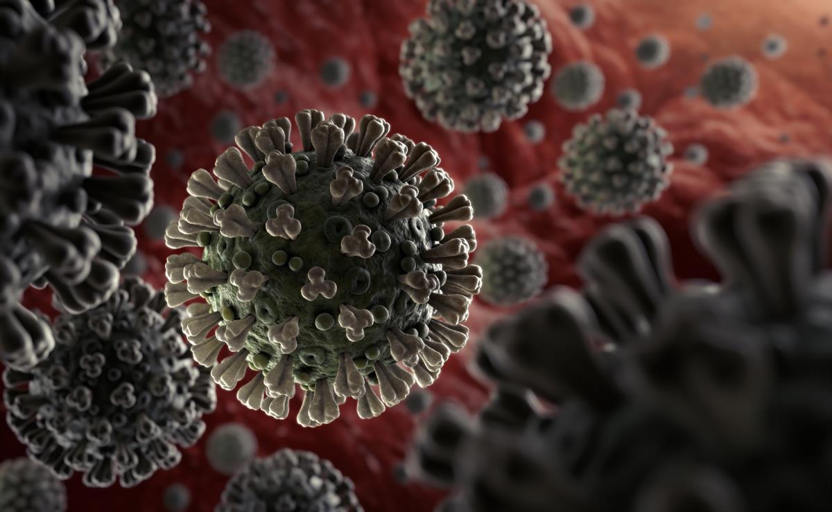 Coronavirus infection confirmed in five more persons, including journalist