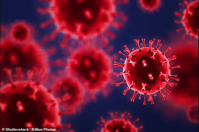 विश्वभरीमा १९.३९ लाख नयाँ कोरोना संक्रमित, ३९९० को मृत्यु