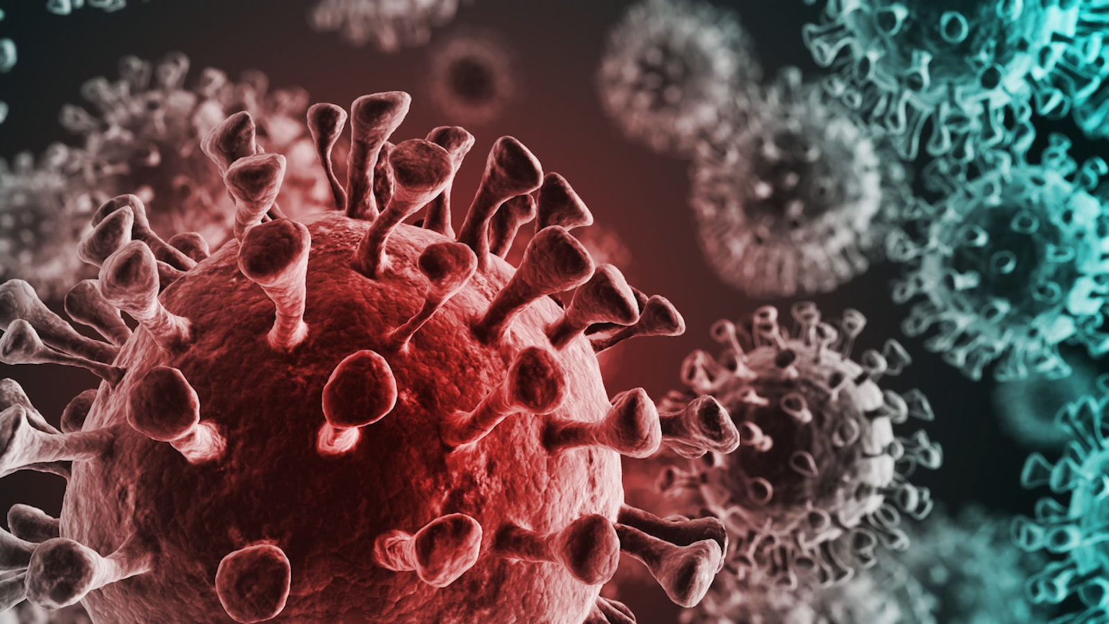 Ilam becomes coronavirus infection-free district