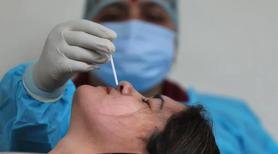 भारतमा २४ घण्टामा भेटिए १७ हजारभन्दा बढी कोरोनाका संक्रमित, २३ को मृत्यु