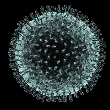 चीनमा कोरोना भाइरसबाट मृत्यु हुनेको संख्या ९  पुग्यो, भाइरस थप प्राणघातक हुनसक्ने चेतावनी