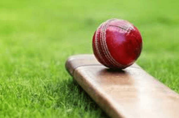 Preparations for DPL cricket in Dhangadhi over