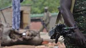 29 dead in DRC after Ugandan ADF rebels' new attack