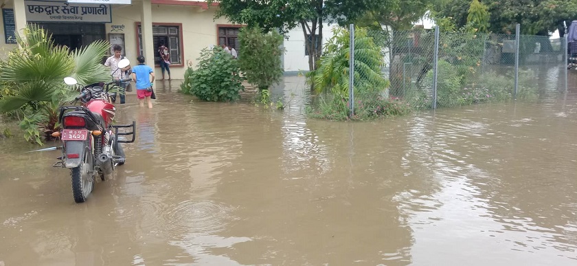 कैलालीको धनगढी बजार डुबानमा