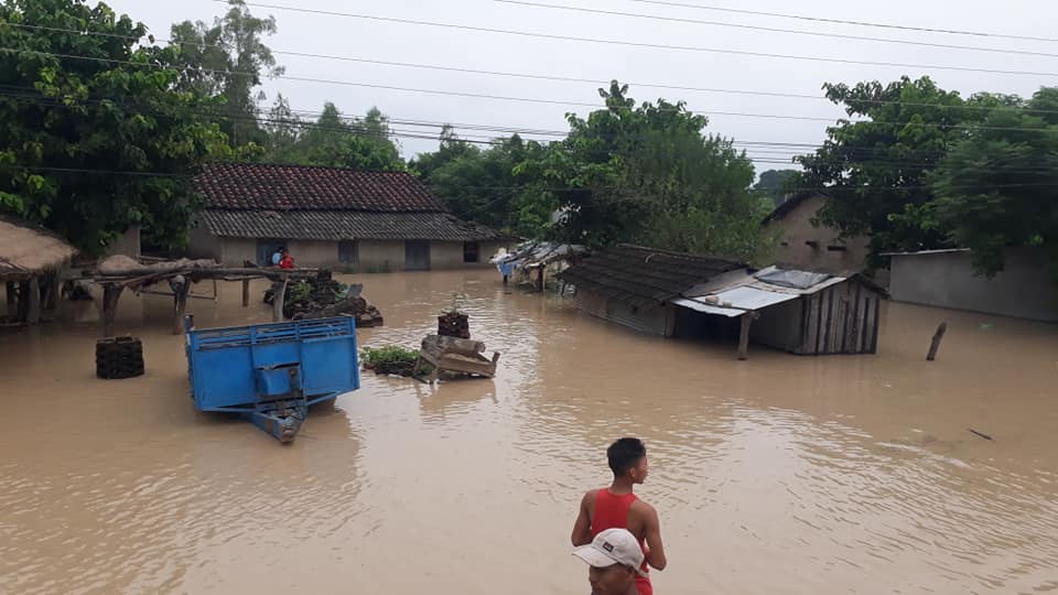 कञ्चनपुरको वनहरा शिविर डुबानमा परेपछि उद्धार