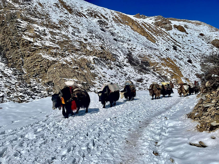 आगामी साता पश्चिमी नयून चापीय प्रणालीले हिमपातको सम्भावना