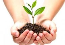 NAST codes 60 types of plants