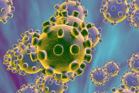 Precaution urged against coronavirus