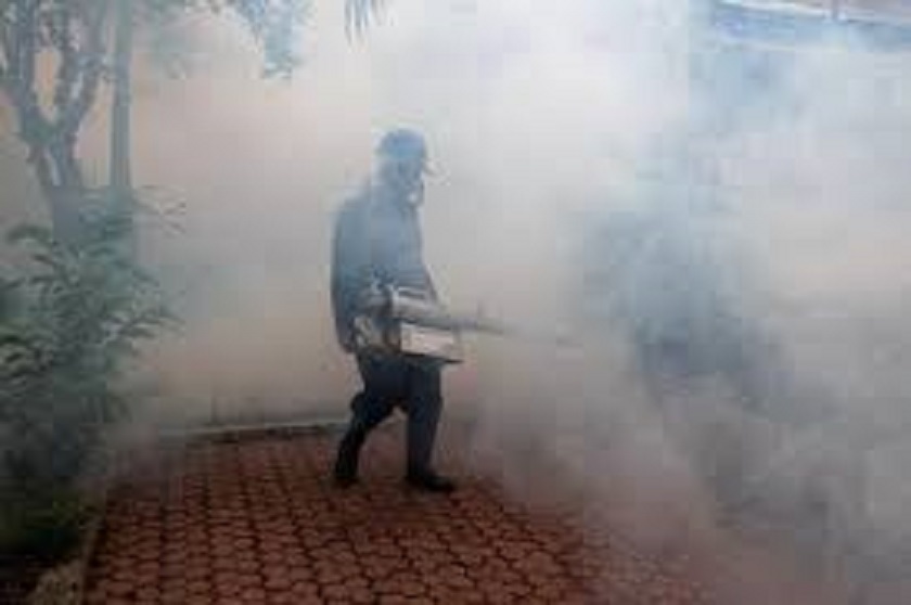 Sri Lanka to fight dengue virus with bacteria