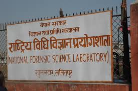 National forensic lab tests 6,000 samples in 11 months