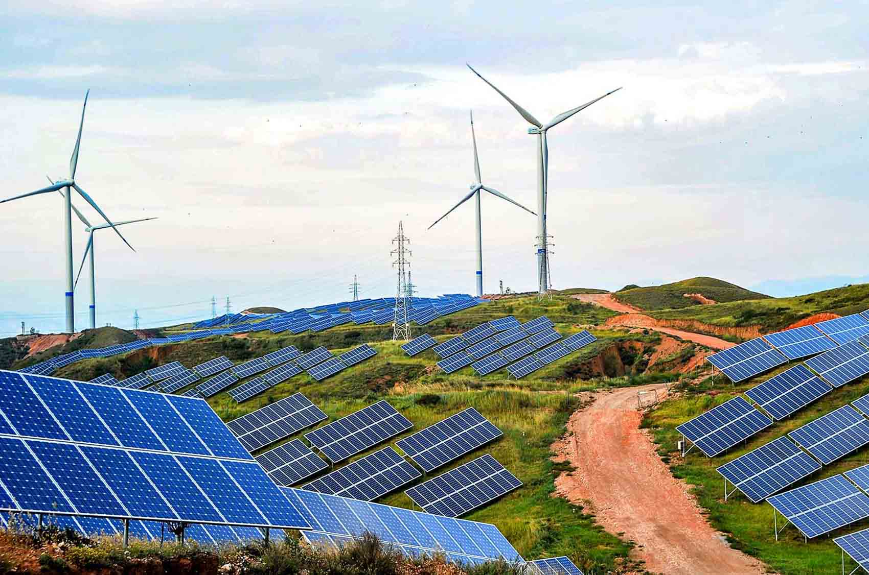 Cent percent usage of renewable energy stressed