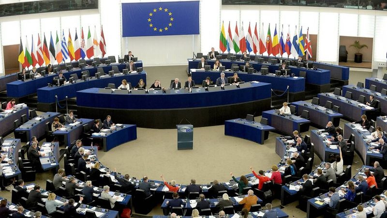 भारतको नागरिकता संशोधनसम्बन्धी कानुनबारे युरोपेली संघको संसदमा बहस