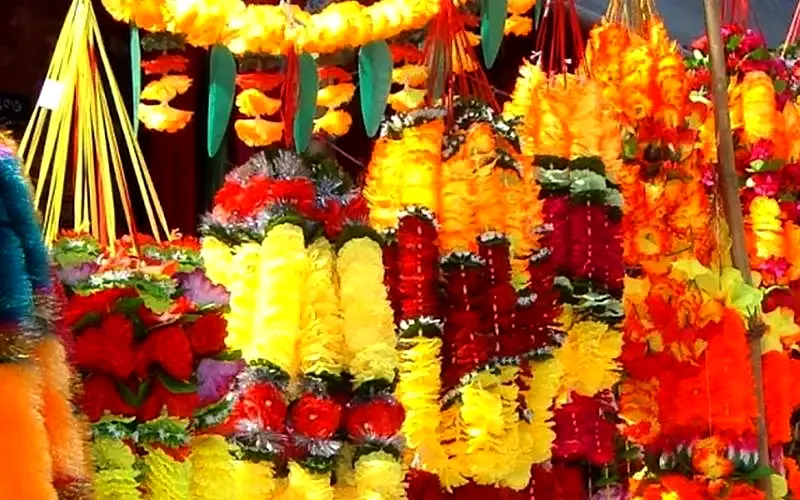   चाडपर्वमा प्लास्टिकका फूल र माला बिक्रीमा रोक