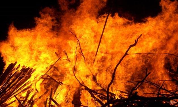 Property worth Rs 2 million gutted in Morang fire