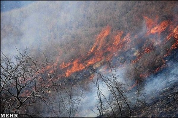 Wildfire ravages forests in northern Iran