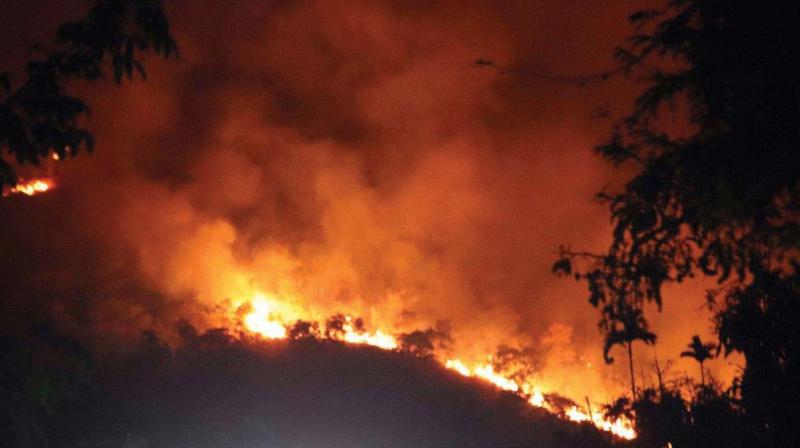 32 districts report forest fire