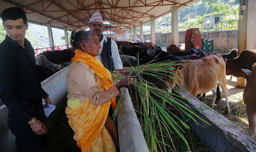 परम्परा धान्दै ९० वर्षीया गंगादेवी