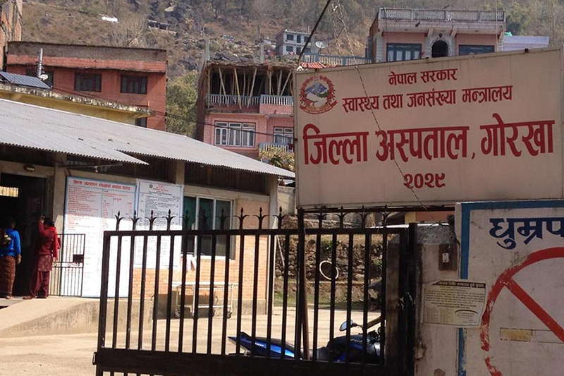   गोरखामा अरिङ्गालजस्तै किराले टोकेर छ घाइते