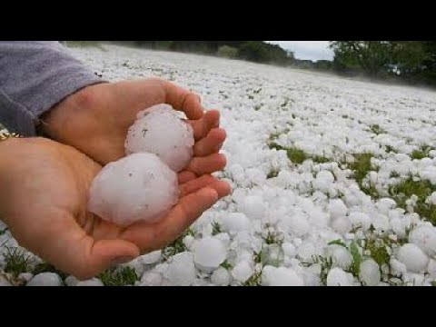 Hailstone damages vegetable, fruits in Kaski, Tanahu