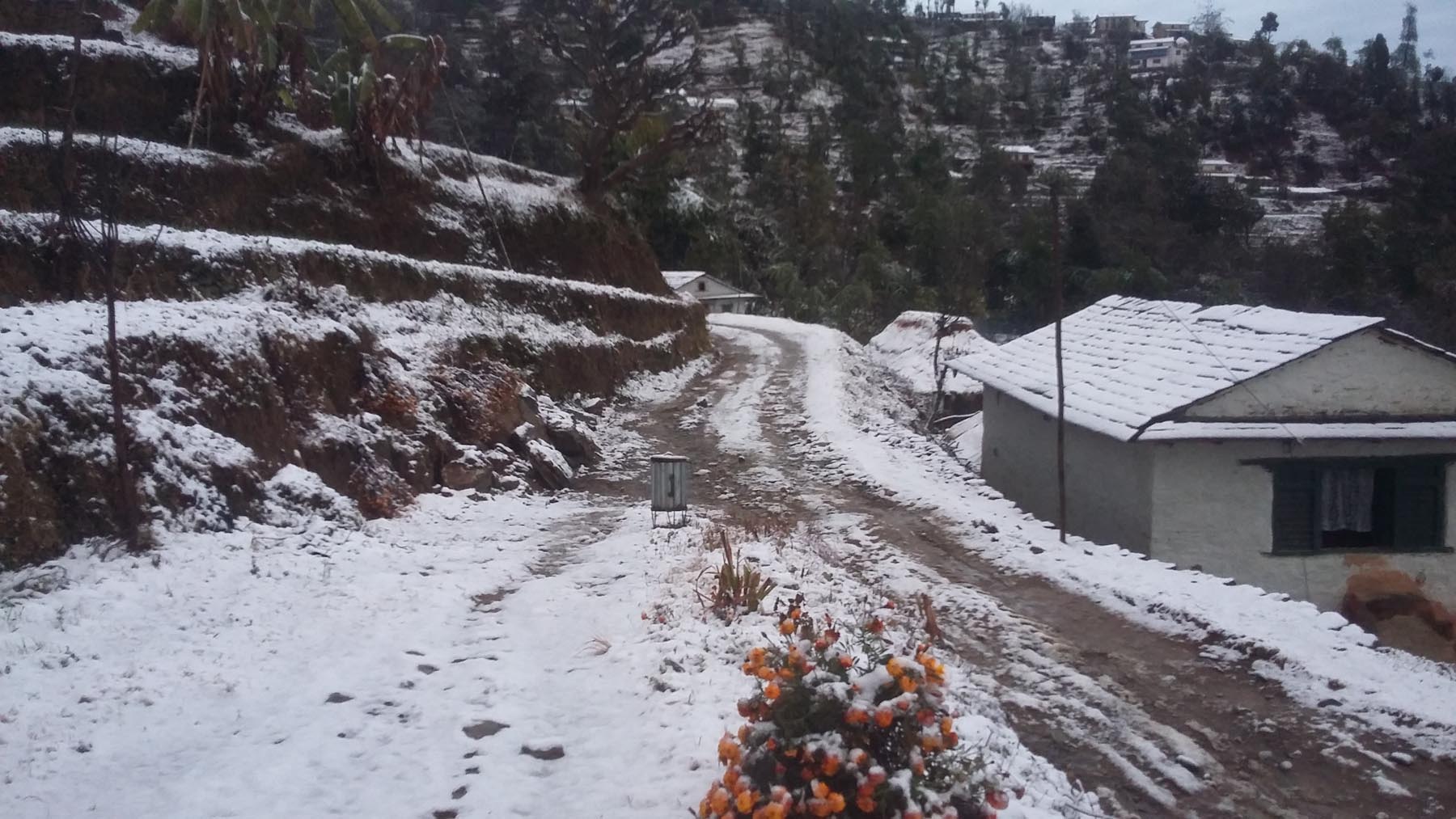 Snowfall in Baitadi, normal life hit hard