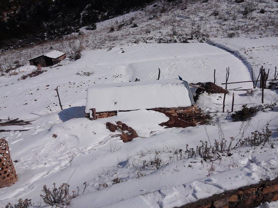 Heavy snowfall affects life in Karnali