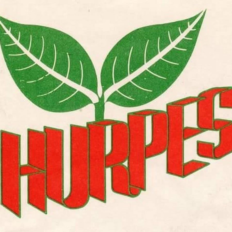 HURPES elects new executive committee