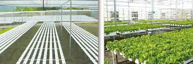 Hydroponic technology-based vegetable farming, fishing in Baglung