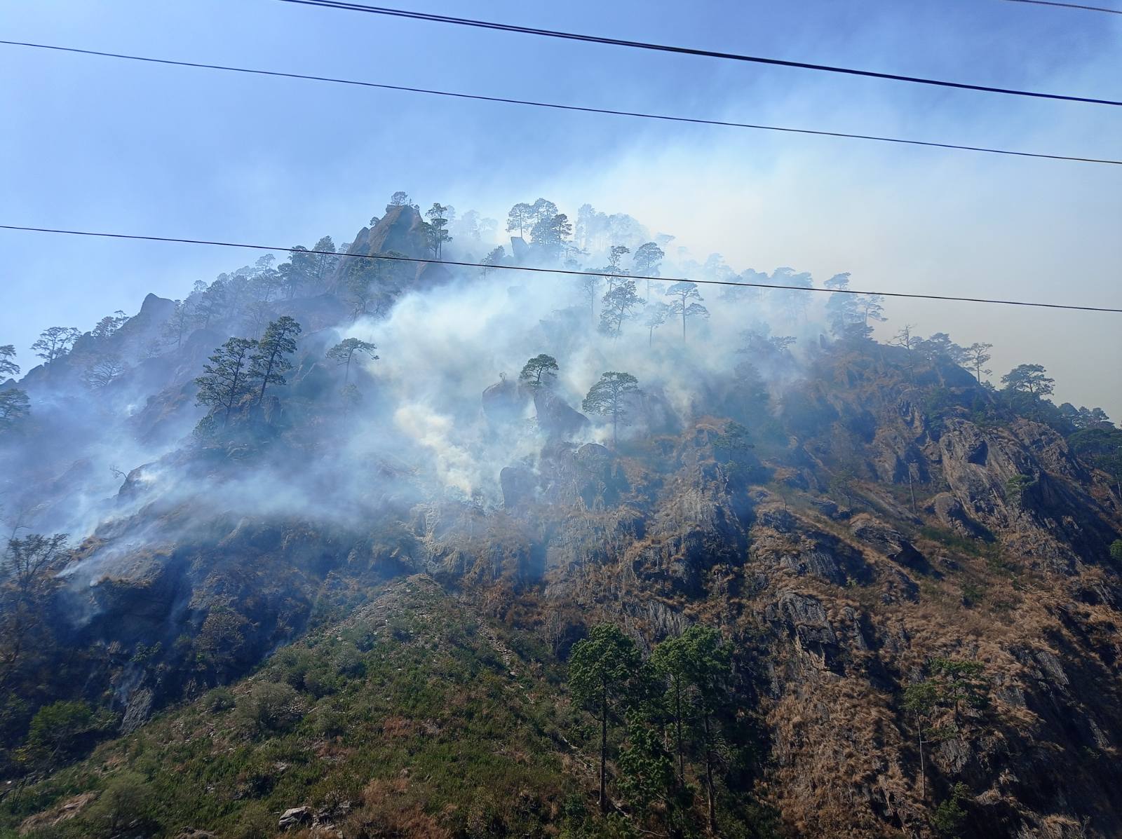 रसुवामा करिब दुई सय हेक्टर वन क्षेत्रमा डढेलो