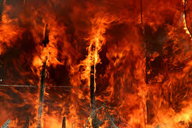 Forest fire inside Langtang National Park