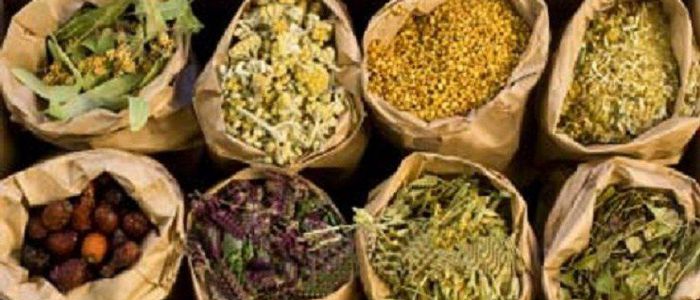 Export of medicinal herbs to India still on hold