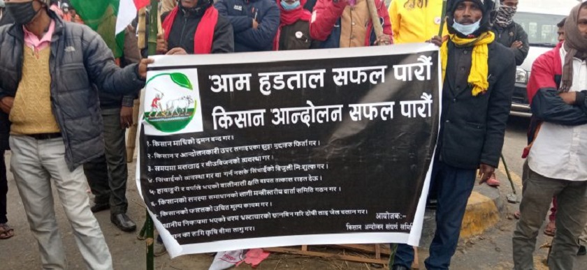 जनमत पार्टीका जिल्ला उपाध्यक्षसहित १२ जना पक्राउ