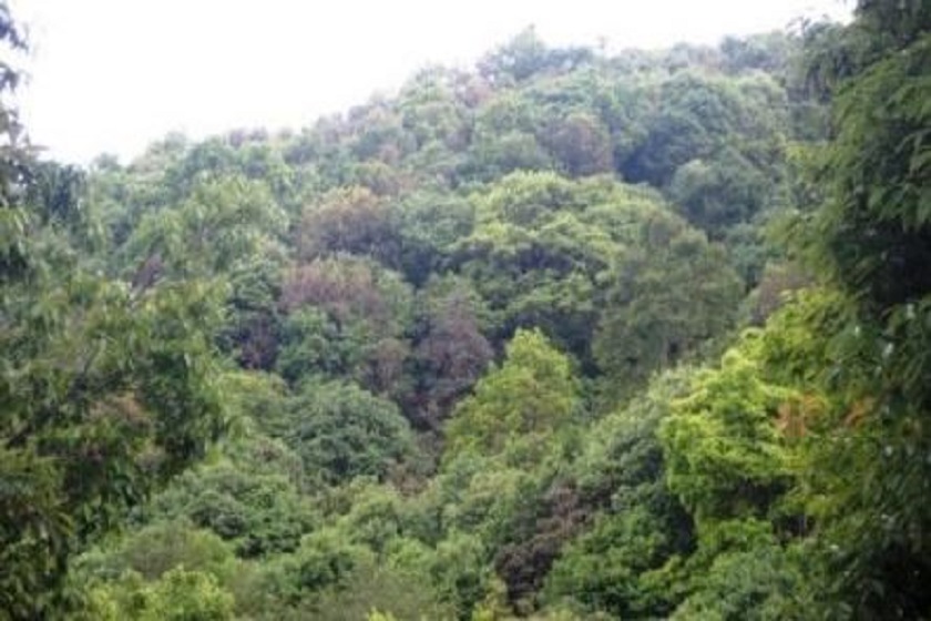 तनहुँका उत्कृष्ट सामुदायिक वन पुरस्कृत