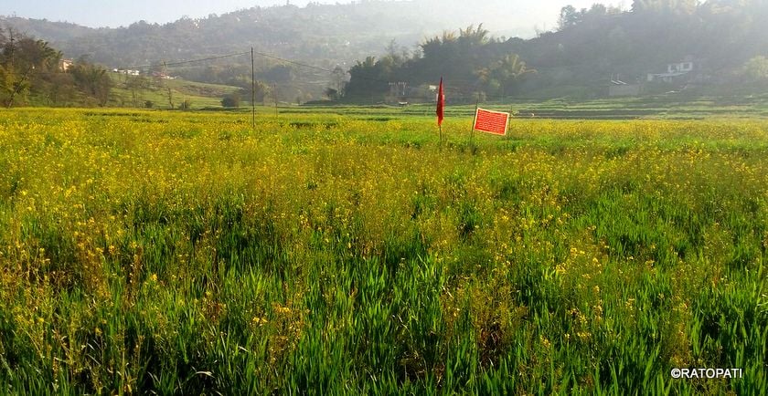 विप्लवका कार्यकर्ताद्वारा भक्तपुरमा जग्गा कब्जा