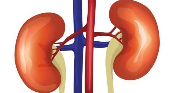 Monetary assistance to kidney patient