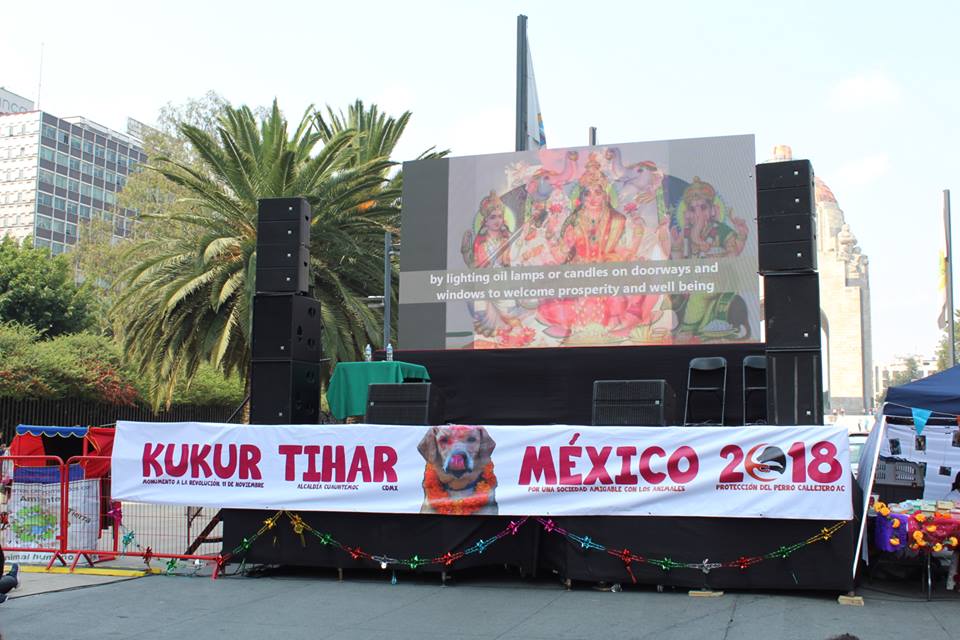 नेपालबाट मेक्सिकोले भित्र्याएको कुकुर तिहार मेक्सिकनले यसरी मनाए (३२ तस्बिरमा हेर्नुहोस्)